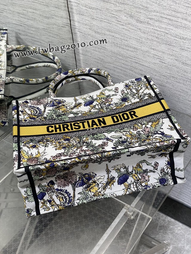 Dior专柜秋冬系列新款托特包迪奥高仿原单Tote包Around the world小号手提购物袋 djfk1693